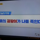 내 몸에 곰팡이가 나를 죽인다!/생활속 세균.곰팡이 잡는법/기치유센터 이미지