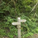 낙동정맥트레일(3코스-심미골단풍길) 이미지