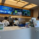 강남대로6길 66-7 | 요즘 핫한 차백도 밀크티, 과일티 | 명동·강남 두 곳 방문 후기