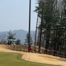 미사용 | [AI 없이 직접 쓴 리뷰] [강원도/원주] 3/28 기준 월송리cc 2인 라운딩 후기(Feat. 잔디 상태 공유)
