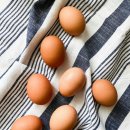 우리계란마트 이미지