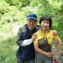 용원초교 이미지