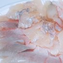 삼천포회센타 이미지