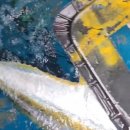 대부목장 이미지