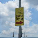 황룡강변 | [전남/장성] 장성 디저트 맛집 황룡강변 &#39;미르당&#39; 방문후기