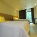 자작나무 스테이 이미지