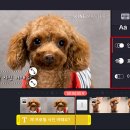 스마트폰 영상제작 및 편집 이미지