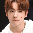오피피에이