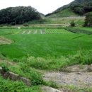 참조은부동산중개사무소 이미지