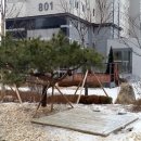 현대한신부동산공인중개사사무소 이미지