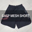 가스프(GASP) 이미지