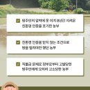 친환경농부 네이버블로그