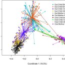 생후 2년 동안 장내 미생물의 변화 2022 네이처!! 이미지