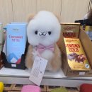 [뉴질랜드 신혼여행] 퀸스타운아 잘 있어, 오클랜드에서의 마지막 밤 (9·完)
