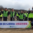 행복한감자 이미지