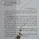 영산신씨정려각 이미지