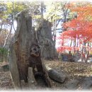 좋은날만 이미지