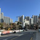 조안농장 | [내돈내산]런던,파리에서 온 신상 한남동 미술관이 생겼다구?!_타데우스 로팍