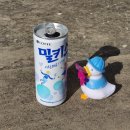 뷰티플옷수선