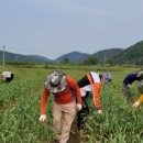 우보면 행정복지센터 이미지