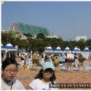 드림아트팬시