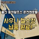 등억알프스온천 앤 호텔 | 울산 등억알프스 온천앤호텔 헬스기구 납품 완료