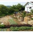 1박2일펜션민박 이미지