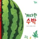 자연예감