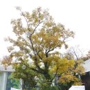 새로운 유라시아 프로젝트 제2장, 이곳으로부터 저곳을 향해  그리고 그 사이 : 네트워크의 극劇 | 전남 여행지 추천 :: 광주 국립아시아문화전당 전시회 다녀오다 :-)