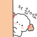 마재공인중개사사무소 이미지