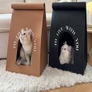 고양이집 이미지