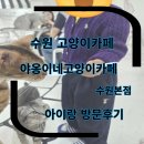 수원-1393 | 수원고양이카페 야옹이네고양이카페 수원본점 아이랑 방문후기