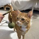 남일2체육관 | [육아일기1] 신생아 육아와 일상, 잘산템 추천!