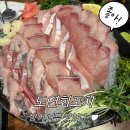 단계포차 | 종로3가 방어 맛집 | 도연회포차 제철 대방어 내돈내산 후기