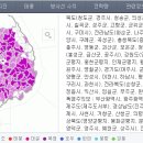 홍성옛날손칼국수 이미지