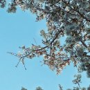 삼남주유소 이미지