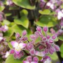 왕골공예가는길 이미지