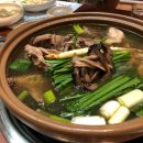 조은오리 이미지