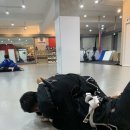 모아이짐 이미지