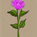 호텔아일랜드 이미지