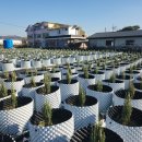 산소농장 이미지