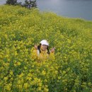 삼천포펜션 이미지