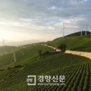 상업용 54 이미지