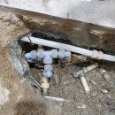 사림동311 이미지