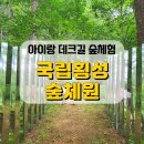 아이랑 국립횡성숲체원 숙박 후기, 데크길 코스 아이와 걷기 좋아요!