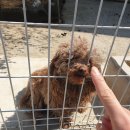 우야지막창 사동점 | 3월 마지막 주 일상