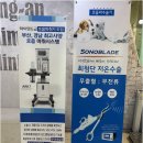 하나동물병원 | 반려동물 건강을 책임지는 부산동물병원, 광안동물병원에서의 특별한 경험