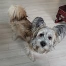 영종H동물의료센터 이미지