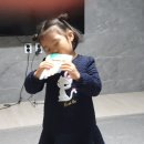 팬플릇 Daum카페