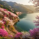 자드락길민박 이미지